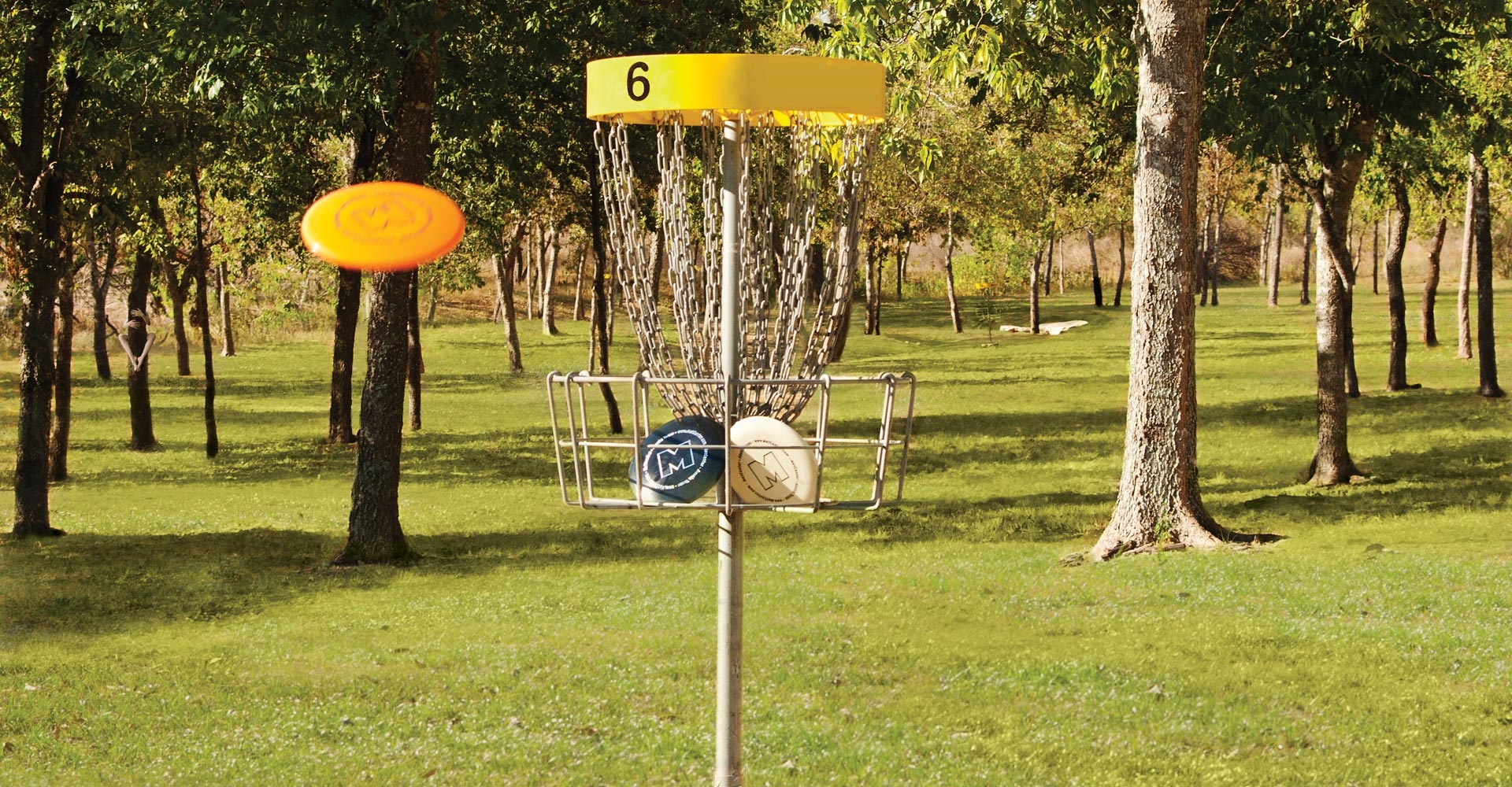 DİSC GOLF